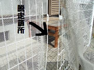 d0070289_17192560.jpg