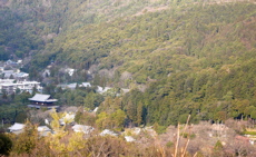 a0079292_2052130.jpg