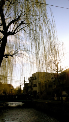 a0079292_2124582.jpg