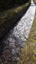 a0079292_218284.jpg