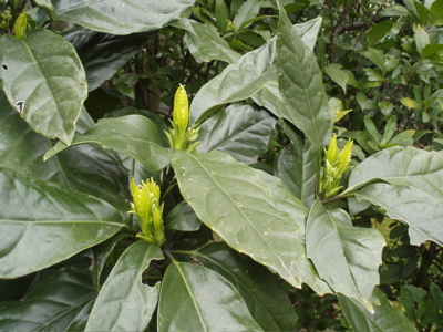 f0130894_20545538.jpg