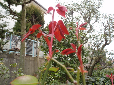 f0130894_2133954.jpg