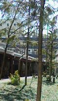 a0074202_1953888.jpg