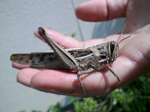 c0056903_17222965.jpg