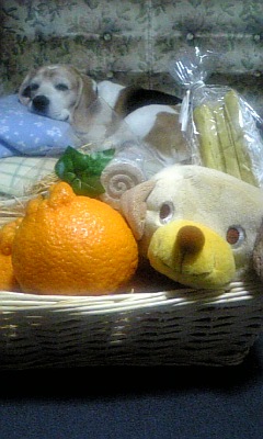 a0013905_0455677.jpg