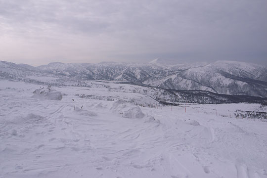 f0135205_23292414.jpg