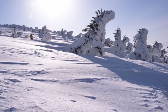 f0135205_23301880.jpg