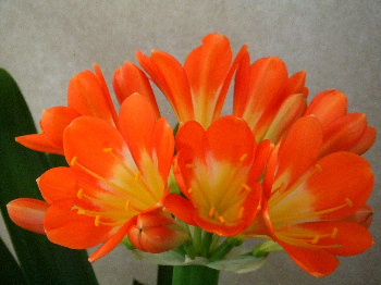f0041606_16364378.jpg