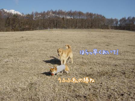 f0064906_1818472.jpg