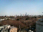 f0127408_20514762.jpg