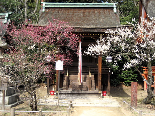 b0046210_11232650.jpg