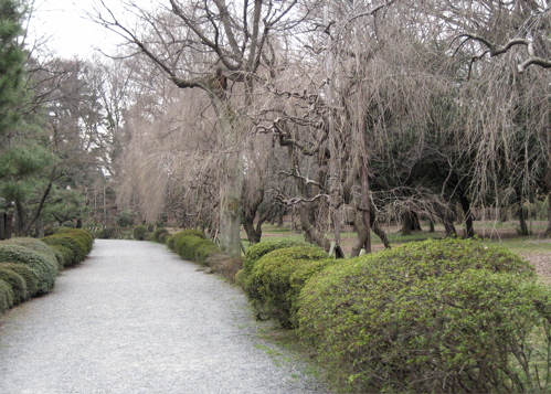 b0046210_12284112.jpg