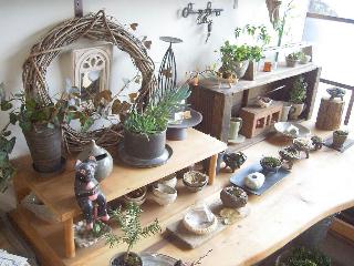 f0040310_22243811.jpg