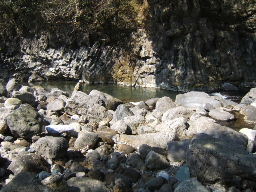 f0079411_22243323.jpg