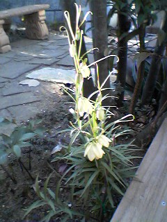 f0049813_7413598.jpg
