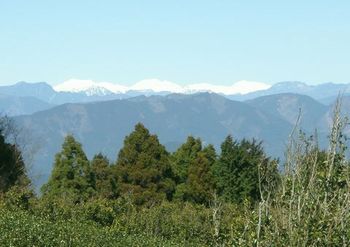 c0073016_621127.jpg