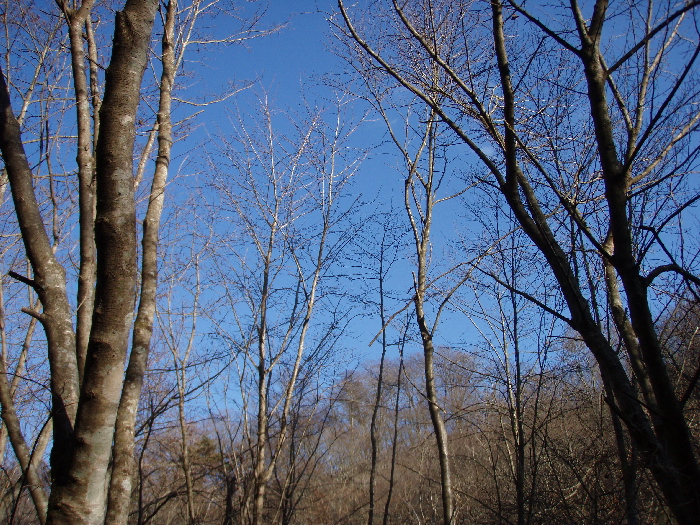 f0103126_2137571.jpg