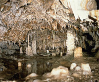 f0054227_2336599.jpg