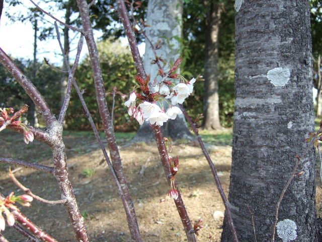f0076529_20431349.jpg