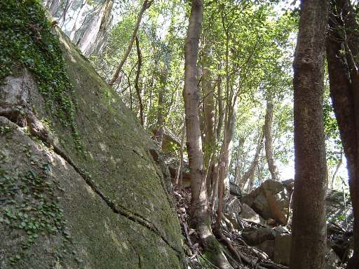 c0077338_18231775.jpg
