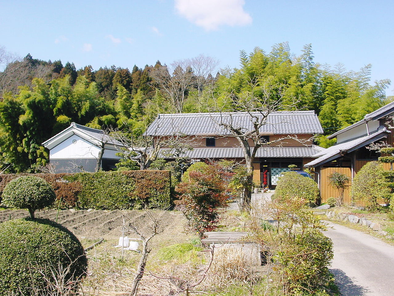 b0097645_7463515.jpg