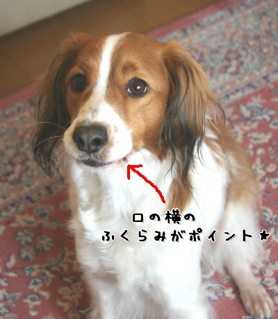 d0013149_15543188.jpg
