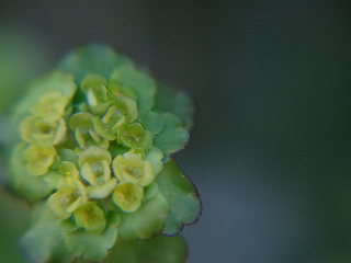 f0134564_22245616.jpg