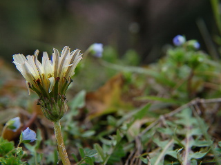 f0134564_22253222.jpg