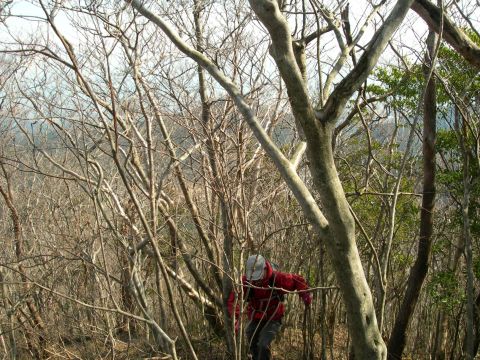 c0042869_20151636.jpg
