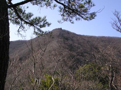 c0042869_20153635.jpg