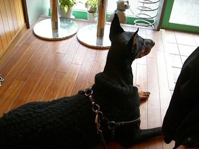 f0025769_956443.jpg