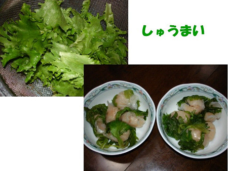 f0003174_15571612.jpg