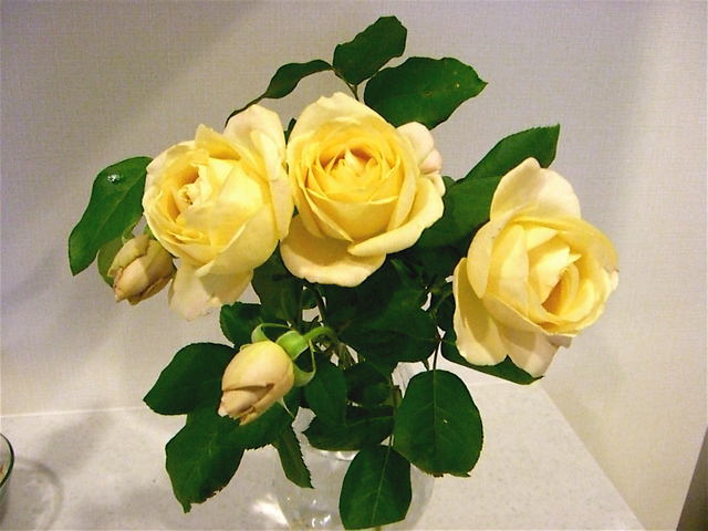 e0018777_23421427.jpg