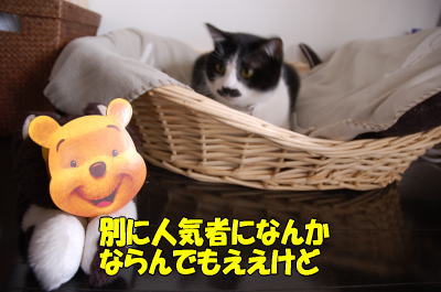 b0041182_21232129.jpg