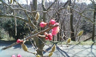 b0074782_20373560.jpg