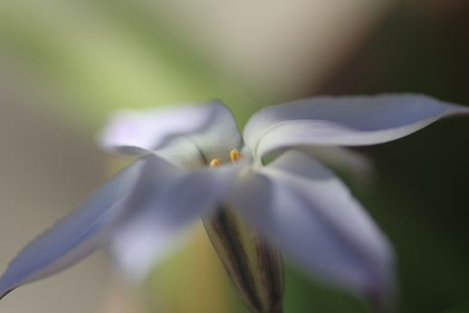 e0027083_23182850.jpg