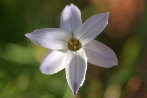 e0027083_23231478.jpg