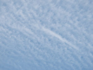 d0046294_14161079.jpg