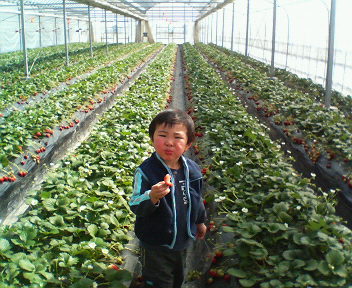 c0064706_239314.jpg