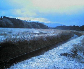 d0013816_2225153.jpg