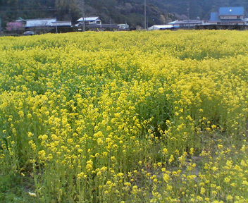 f0036223_1326418.jpg