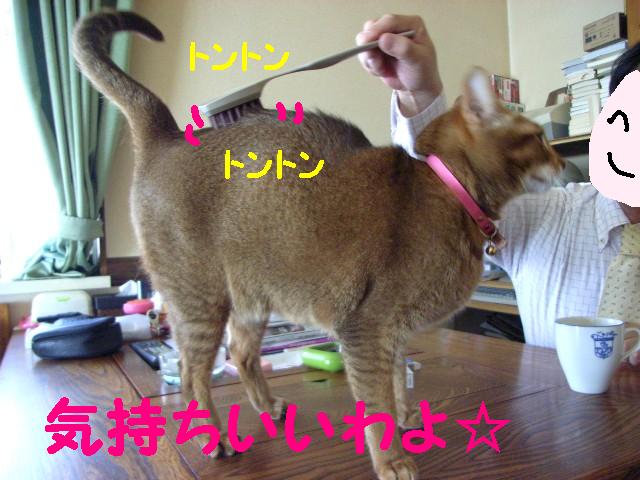 d0081025_21104581.jpg