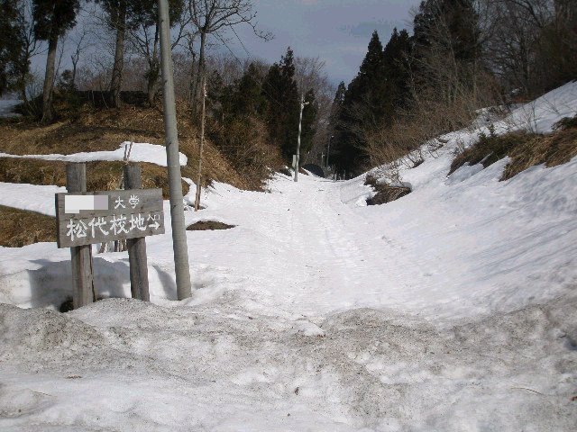 e0065830_23572671.jpg