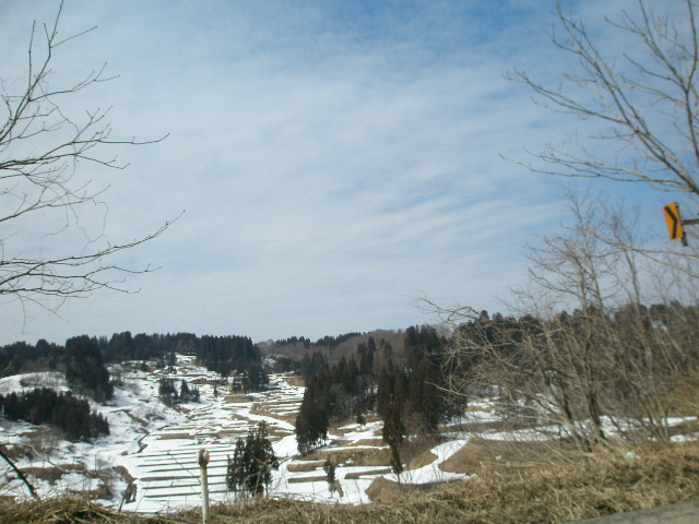 e0065830_2359423.jpg