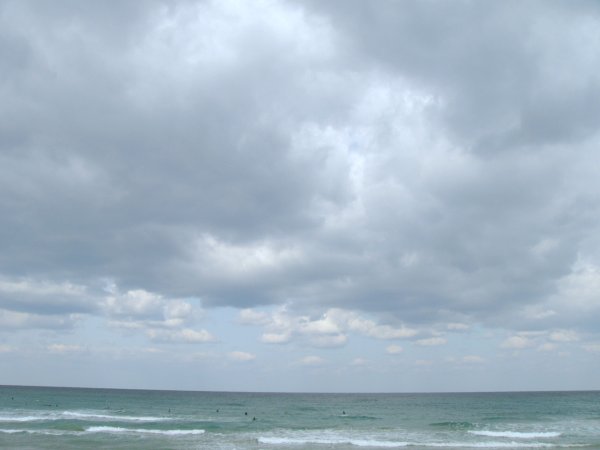 d0018131_5321550.jpg