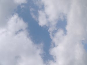 d0018131_5323162.jpg