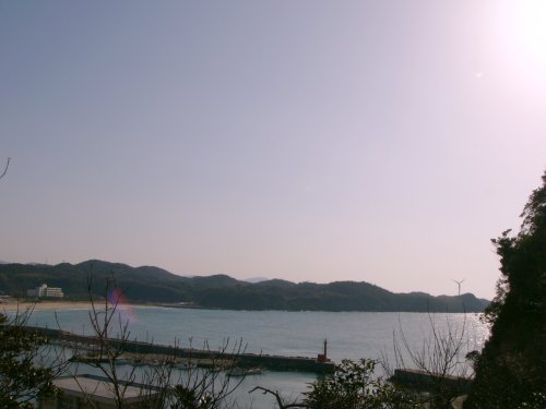 d0018131_534575.jpg