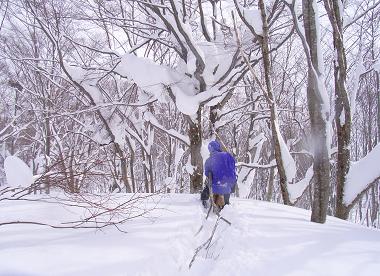 f0118332_21512348.jpg