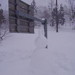 f0118332_21543590.jpg