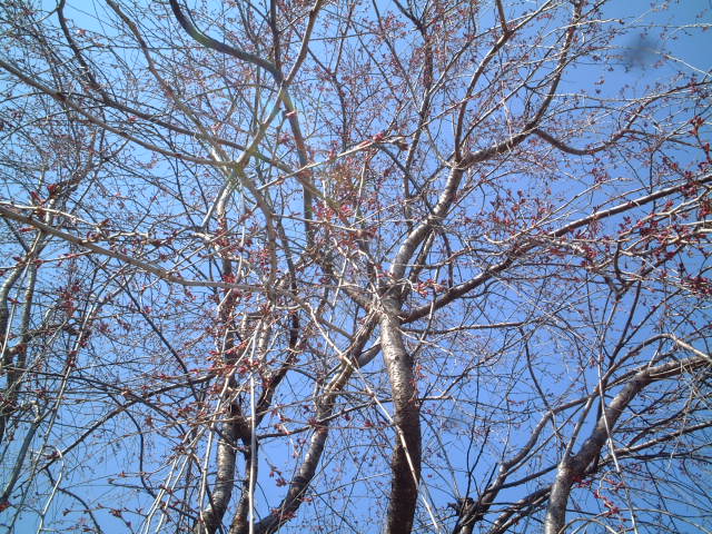 c0114833_22283238.jpg